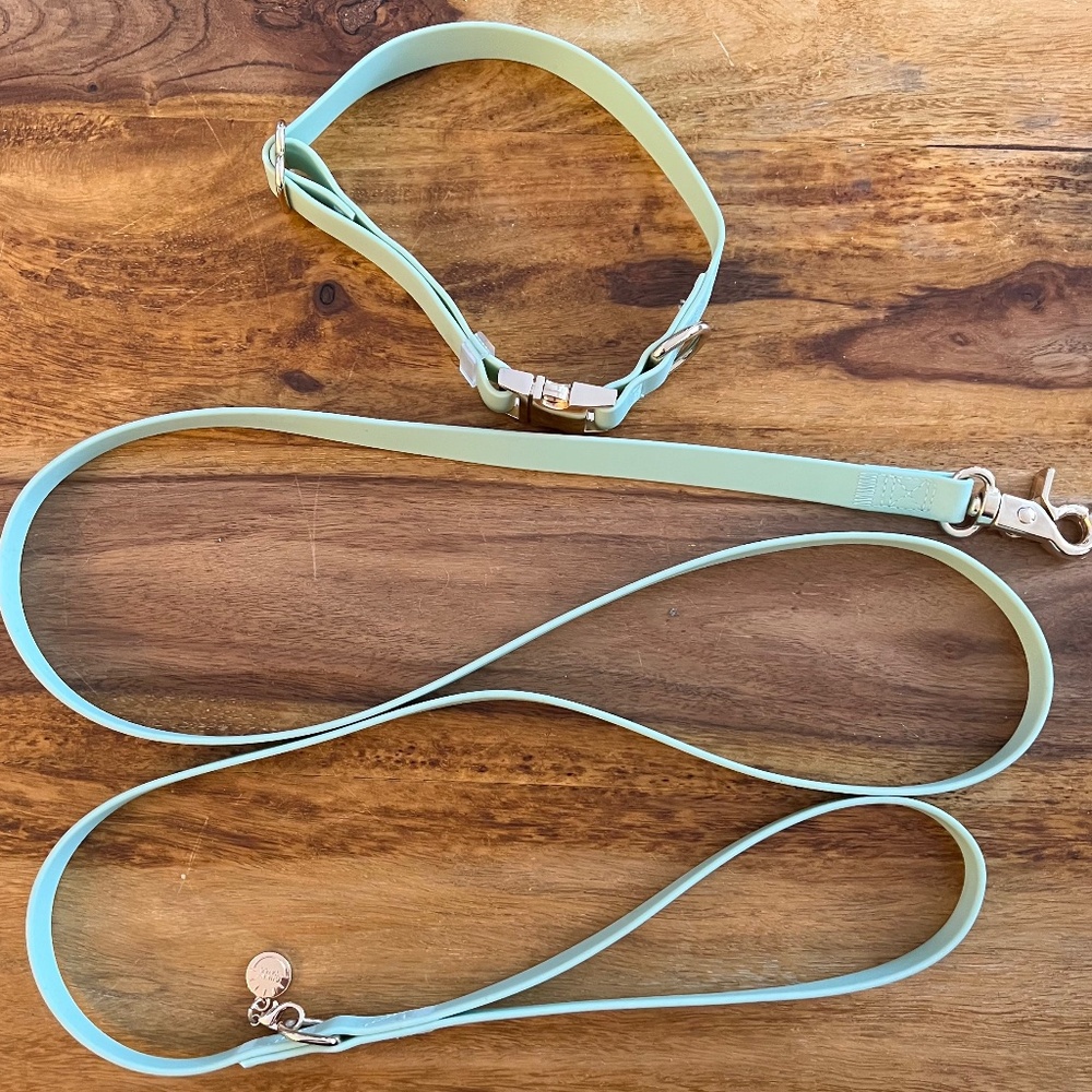 Waterproof Collar and Leash